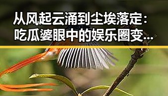 从风起云涌到尘埃落定：吃瓜婆眼中的娱乐圈变迁轨迹