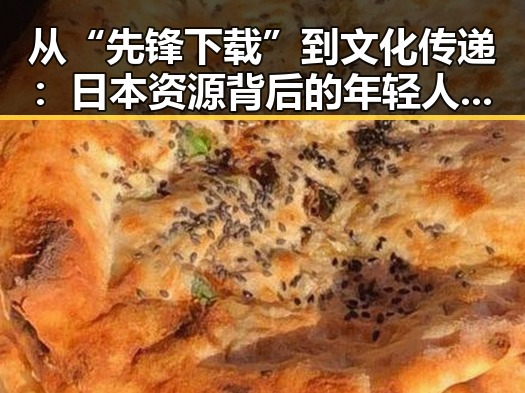 从“先锋下载”到文化传递：日本资源背后的年轻人变化